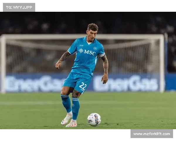 意甲自有球场建设面临的挑战与机遇分析及未来发展前景探讨